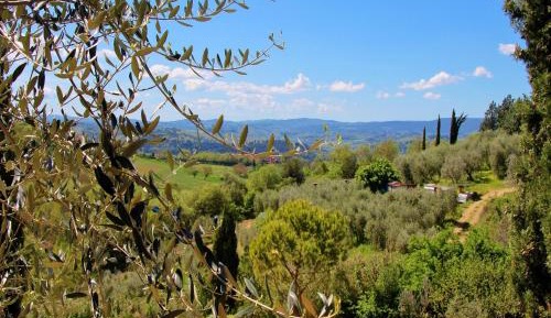 One-Bedroom Holiday Home