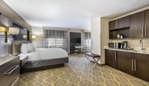 Large King Room with Sofa Bed and Wet Bar - Non-Smoking