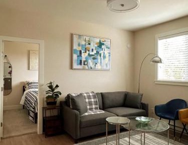 Deluxe One-Bedroom Apartment