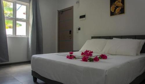 Deluxe Double Room (2 Adults + 1 Child)