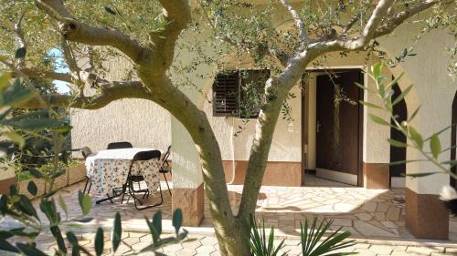 One-Bedroom Apartment with Terrace (4 Adults)