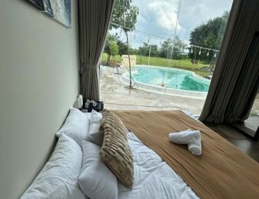 King Room with Pool View