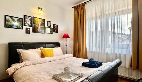 Studio with Sofa Bed