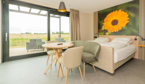 Double Room with Terrace