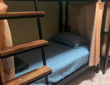 Bed in 10-Bed Mixed Dormitory Room