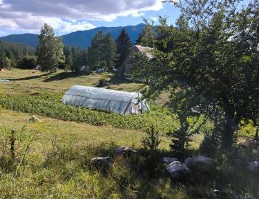 Double or Twin Room with Garden View