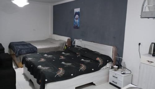 Large Double or Twin Room