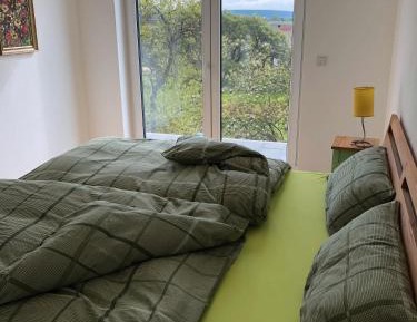 Superior One-Bedroom Apartment