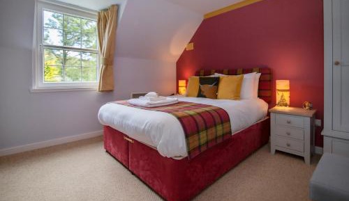 King Room with Garden View