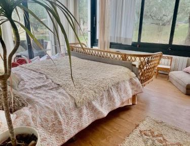 Double Room with Patio