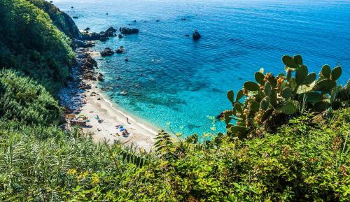 One-Bedroom Apartment with Garden