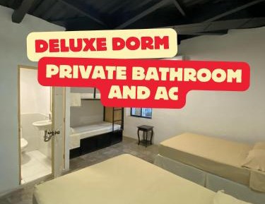 Bed in 6-Bed Mixed Dormitory Room