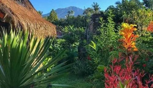 Bungalow with Garden View