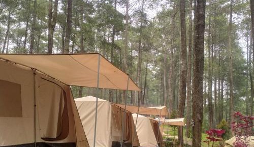 Tent