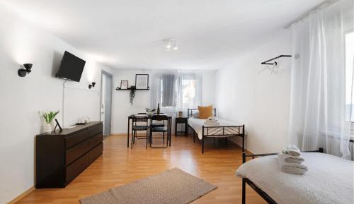 Superior One-Bedroom Apartment