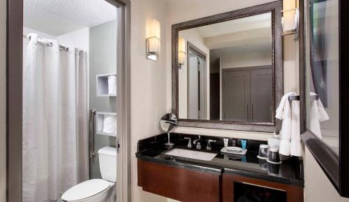 King Room with Roll-In Shower - Disability Access