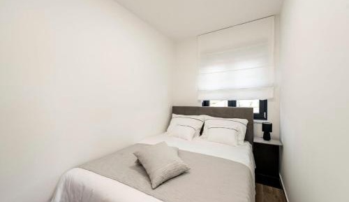 Deluxe One-Bedroom Apartment