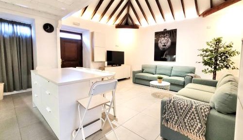 Deluxe One-Bedroom Apartment