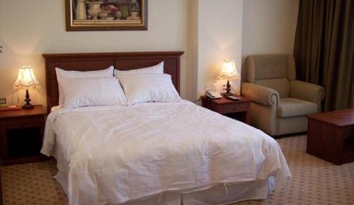 Single Room - Room only