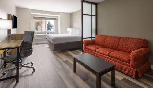 King Room with One King Bed and One Sofa Bed - Non-Smoking