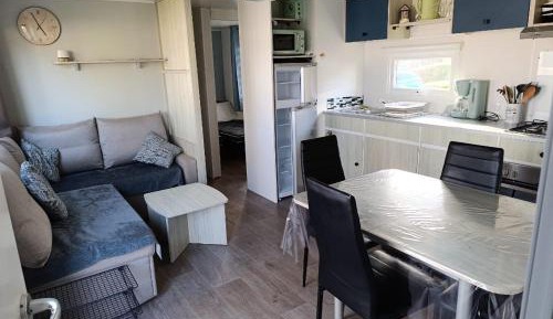 Mobile Home