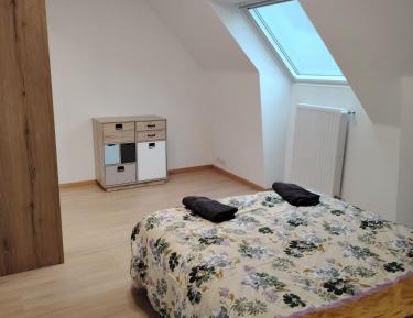 Double Room with Shared Bathroom