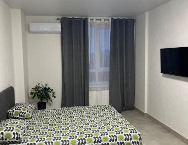One-Bedroom Apartment with River View
