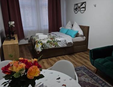 One-Bedroom Apartment with City View