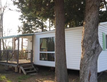Mobile Home