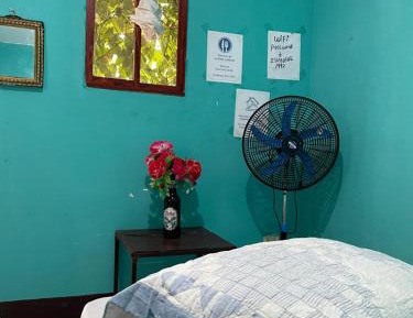 Double Room with Shared Bathroom