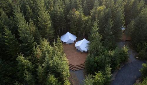 Tent