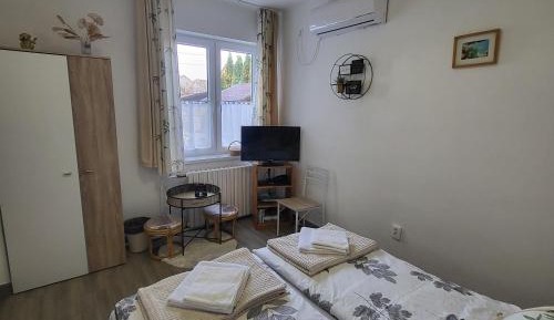 Studio with Garden View