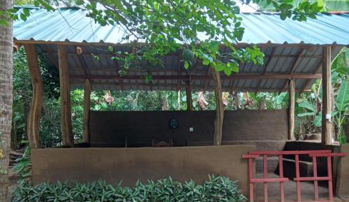 Family Room with Private Bathroom