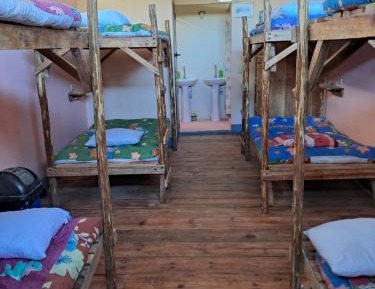 Bunk Bed in Mixed Dormitory Room