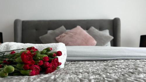 One-Bedroom Premium Apartment