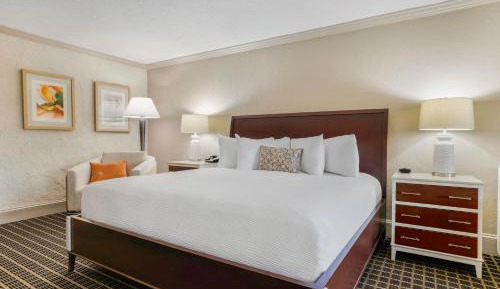 King Room with Roll-In Shower - Disability Access
