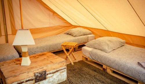Single Bed in Mixed Dormitory Room