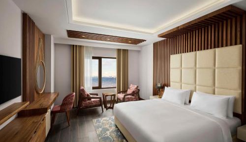 Standard Room - Mountain View