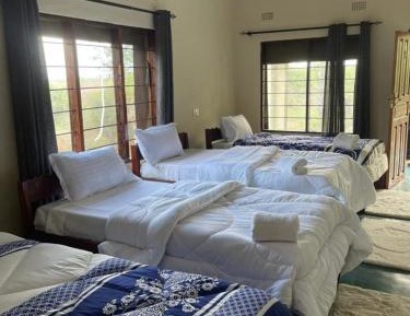 Single Bed in 4-Bed Dormitory Room