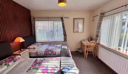 Deluxe Twin Room