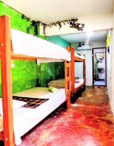 Mixed Dormitory Room
