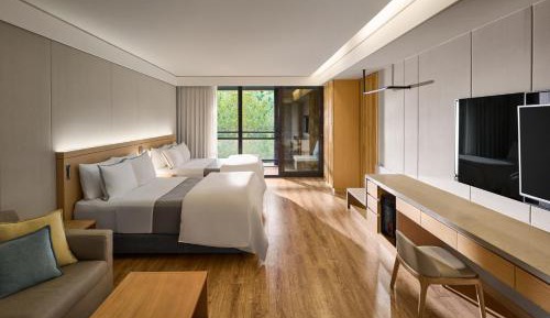 Premium Suite