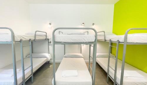 Bed in 6-Bed Dormitory Room