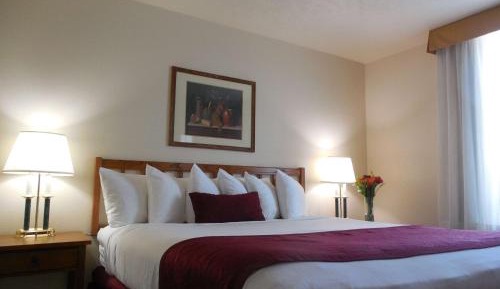Queen Room with Roll In Shower - Disability Access