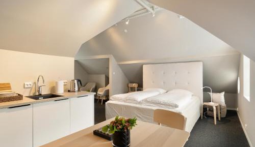One-Bedroom Apartment 4