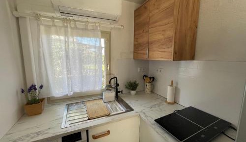 Mobile Home