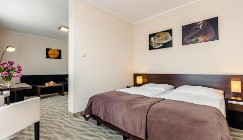 Junior Suite with Partial Lake View