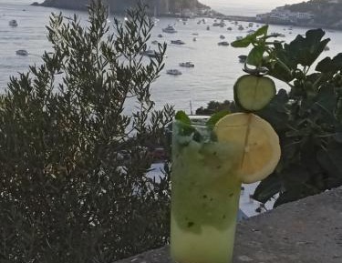 Double or Twin Room with Sea View