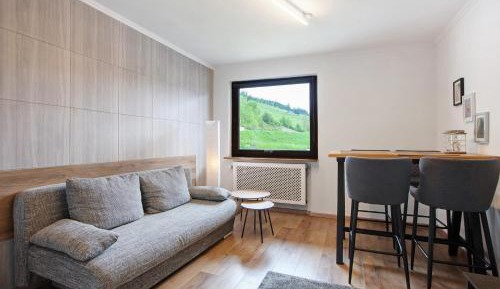 Superior One-Bedroom Apartment