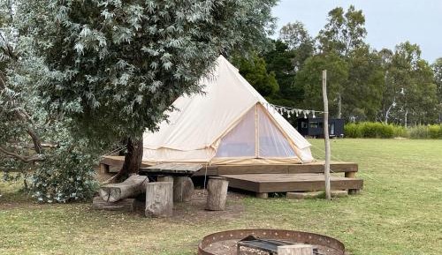 Tent